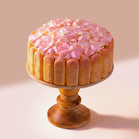 Toronto's Finest Tiramisù Cake